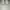 Adidas Spezial White photo 1