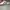 Adidas Spezial White photo 2