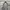 PSG Paris Saint German Jersey Official Merchandise photo 3