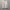 Covernat Luxury Sweatshirt Pria cream photo 5