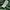 Montbell Powder Step Parka Gorpcore Jacket photo 6