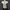 y2k leepeiwen shirts photo 2