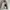 Patagonia Goth Sweatshirt Pria white photo 1