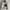 Patagonia Goth Sweatshirt Pria White