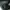 I am not a human being jacket aop full of print  photo 4