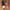 Christian Louboutin  photo 2
