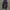 Carhartt Double Knee B01 - BLK  photo 1