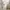 long white formal dress with sabrina sleeves photo 2