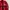 Vintage Biker Track jacket Pria red photo 3