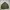 Crocodile Luxury Casual Harrington jacket Pria tan khaki photo 7