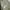 Crocodile Luxury Casual Harrington jacket Pria tan khaki photo 3
