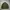 Crocodile Luxury Casual Harrington jacket Pria tan khaki photo 5