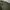 Crocodile Luxury Casual Harrington jacket Pria tan khaki photo 2