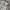 Streetwear Hoody Pria white gray photo 2