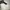 Vintage Avant Garde Windbreaker Pria white black photo 7