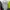 Douliya underwear dress photo 1