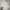 Uniqlo Luxury Casual Windbreaker Pria white photo 7