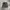 MUSINSA STANDARD GEARED UTILITY SHORT photo 1