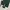 Dickies 874 Green Hunter size 30 photo 6