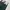 Dickies 874 Green Hunter size 30 photo 2