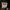 Jacket levis photo 2