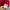 Feltics Streetwear Sportswear Parka Pria red photo 4