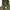 Nike Streetwear Y2K Hoody Pria green photo 4