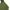 Nike Streetwear Y2K Hoody Pria green photo 2