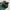 Dickies Lincoln Green size 32x32 photo 8