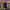 FACETASM Wool Blend Knit Turtle Neck Asimetris  photo 1