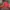 Sportswear Hat Pria red photo 4