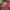 Sportswear Hat Pria Red