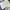 Balenciaga Luxury Streetwear T-shirt Pria white photo 2