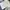 Balenciaga Luxury Streetwear T-shirt Pria White