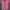 Lacoste Luxury Casual T-shirt Wanita multicolor photo 1