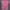 Lacoste Luxury Casual T-shirt Wanita multicolor photo 7