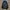 Smiggle Black Livewire Trolly Bagpack