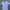 LANVIN Luxury Casual Formal Shirt Pria Blue