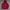 Authentic Prada Light Jacket Icon Logo Plate Red