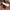 Adidas Sportswear Casual Sneakers Pria multicolor photo 1