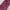 Luxury Jewellery Pria navy red photo 2