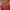  Painted House by John Grisham photo 1