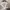 Vintage Streetwear Hat Pria pink photo 6