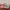 Vintage Streetwear Hat Pria pink photo 2