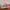 Vintage Streetwear Hat Pria pink photo 3
