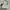 Coach Teri Signature White Bag photo 1