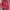 Gucci bag red photo 7
