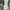 minimalist dress classy blue elegant korean brand  photo 2