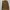 Dickies Jacket Unisex Brown XS photo 1
