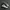 Converse X Suicidal Tendencies Chuck 70s Black White